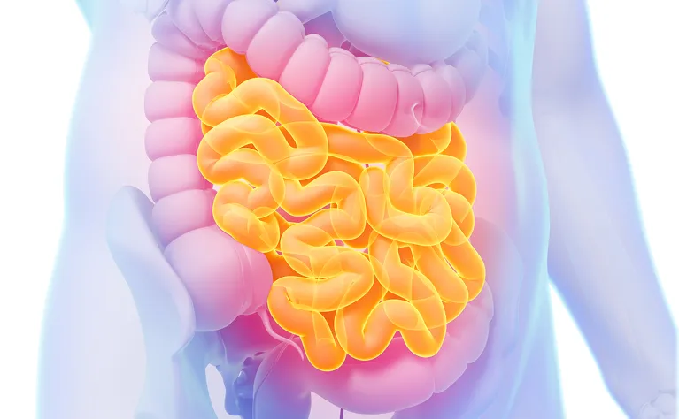 ام آر آی پیشرفته از روده کوچک